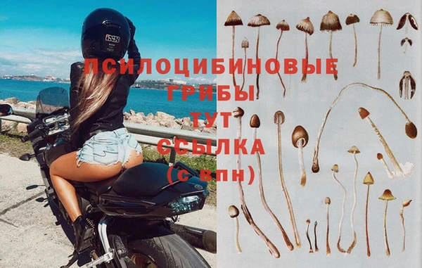 mdpv Навашино