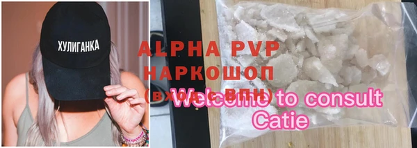прущие грибы Михайлов
