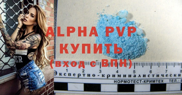 прущие грибы Михайлов