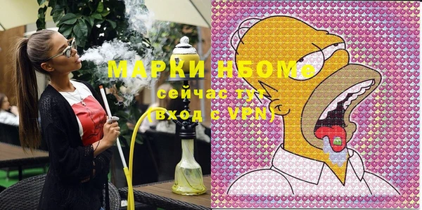 прущие грибы Михайлов