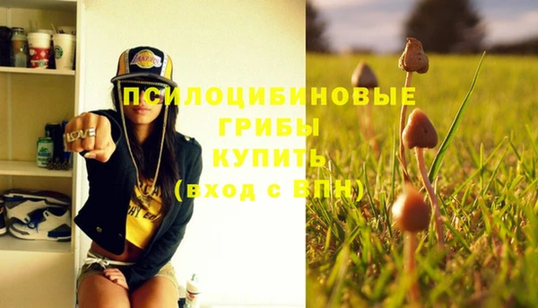 mdpv Навашино