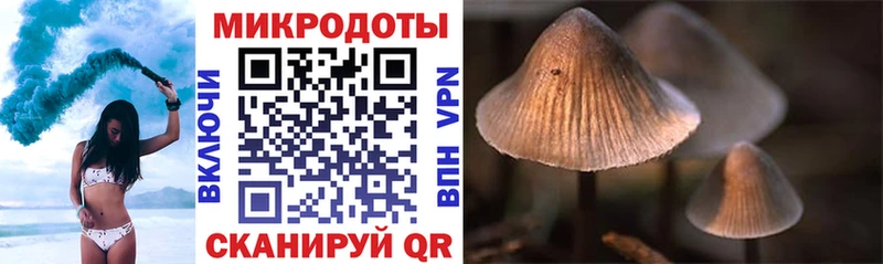 ОМГ ОМГ онион Макаров Галлюциногенные грибы прущие грибы сколько стоит